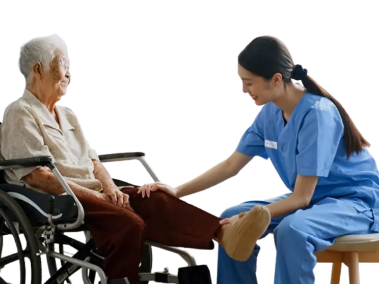 Accommodation/Tenancy